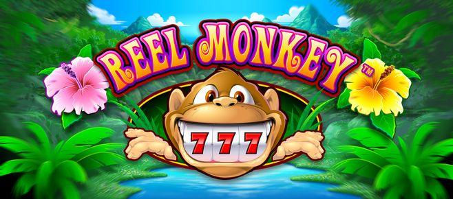 ssbet77 casino login